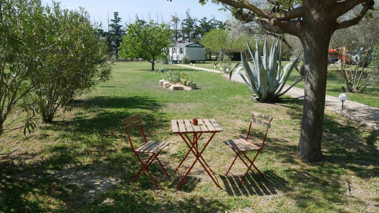 Ferienwohnung Mas Maurane - Les Lavandes Aux Portes D'Arles Tarascon Exterior foto
