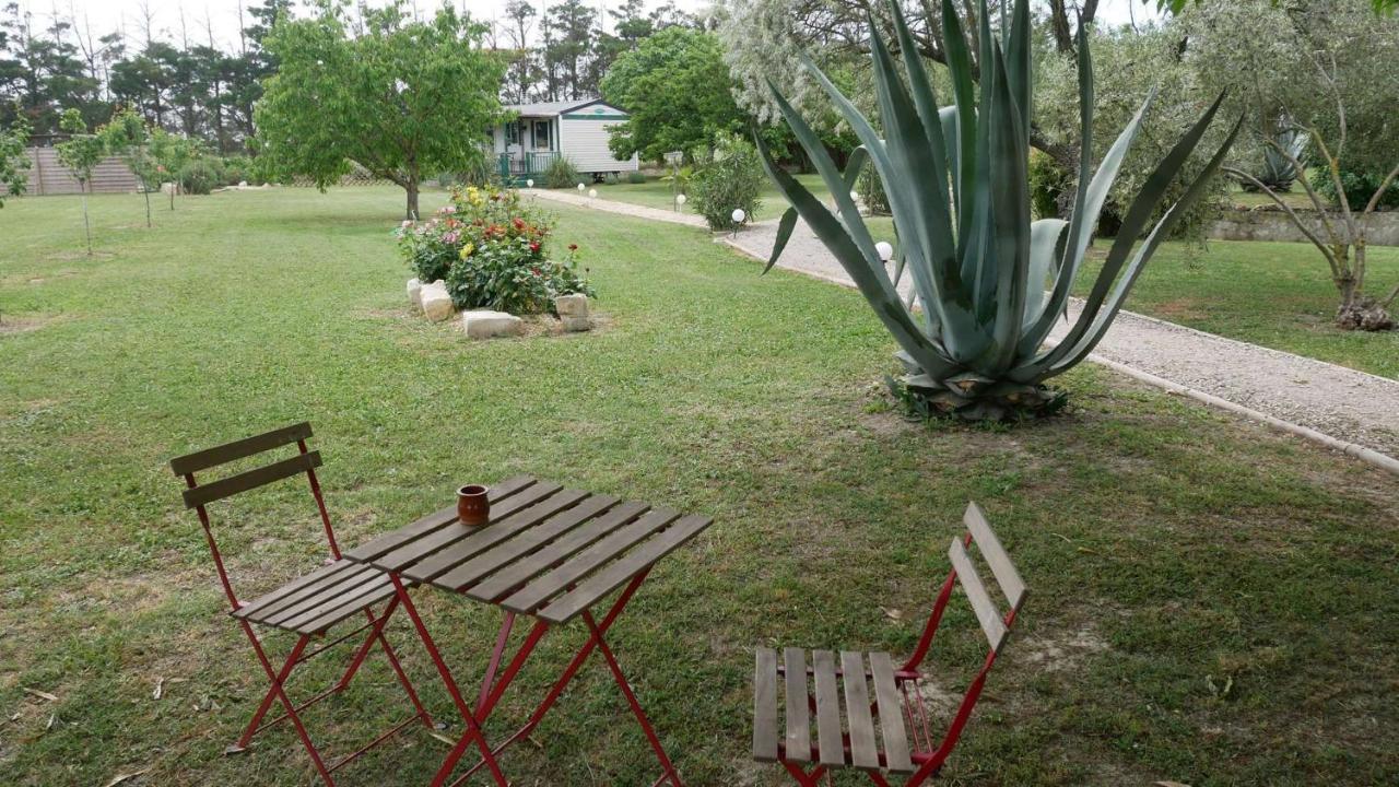 Ferienwohnung Mas Maurane - Les Lavandes Aux Portes D'Arles Tarascon Exterior foto